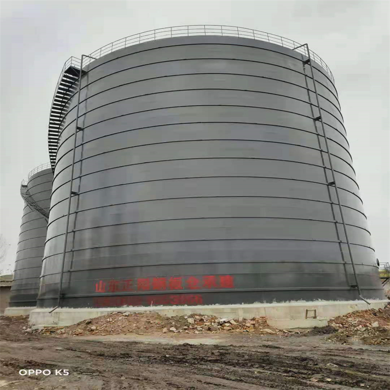 集安3万吨大型钢板库