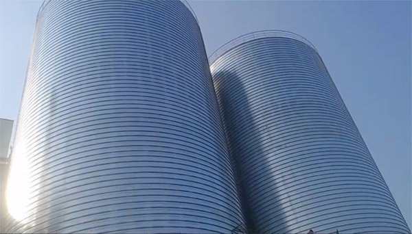 集安2座混凝土高架卷板仓